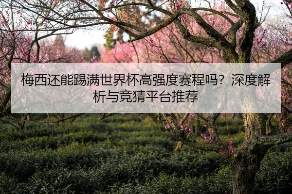 梅西还能踢满世界杯高强度赛程吗？深度解析与竞猜平台推荐