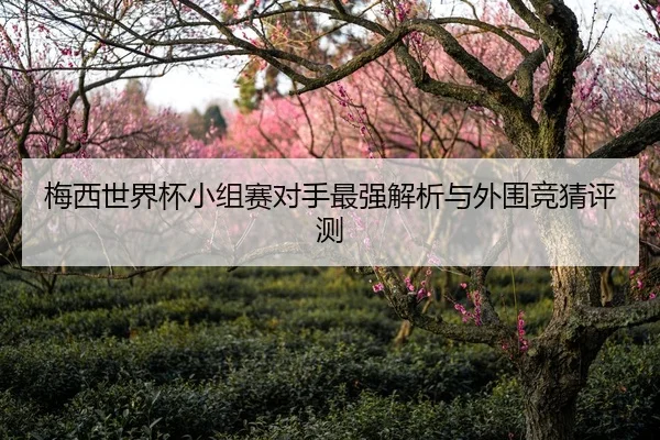 梅西世界杯小组赛对手最强解析与外围竞猜评测
